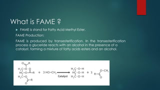 FAME (Fatty Acid Methyle ester) analysis | PDF