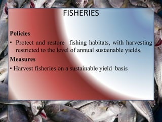 Policies
• Protect and restore fishing habitats, with harvesting
restricted to the level of annual sustainable yields.
Measures
• Harvest fisheries on a sustainable yield basis
FISHERIES
 