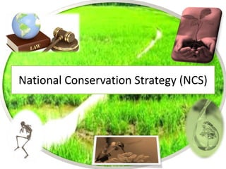 National Conservation Strategy (NCS)
 