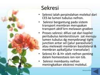 Sekresi
• Sekresi ialah perpindahan molekul dari
CES ke lumen tubulus nefron.
• Sekresi bergantung pada sistem
transport membran merupakan
transport aktif krn melawan gradien
• Proses sekresi: difusi zat dari kapiler
peritubulus keinterstisium zat menuju
lumen tubulus dg menyebrangi tight
junction antar sel (jalur paraselular)
atau melewati membran basolateral &
membran apikal(jalur transelular)
• Sekresi K+ & H+ oleh nefron penting
dalam homeostasis ion-ion tsb.
• Sekresi membantu nefron
meningkatkan ekskresi molekul.
 