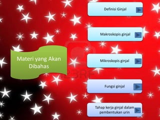 Materi yang Akan
Dibahas
Definisi Ginjal
Makroskopis ginjal
Mikroskopis ginjal
Fungsi ginjal
Tahap kerja ginjal dalam
pembentukan urin
 