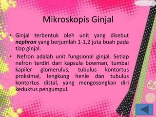 Mikroskopis Ginjal
• Ginjal terbentuk oleh unit yang disebut
nephron yang berjumlah 1-1,2 juta buah pada
tiap ginjal.
• Nefron adalah unit fungsional ginjal. Setiap
nefron terdiri dari kapsula bowman, tumbai
kapiler glomerulus, tubulus kontortus
proksimal, lengkung henle dan tubulus
kontortus distal, yang mengosongkan diri
keduktus pengumpul.
 