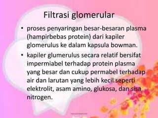 Filtrasi glomerular
• proses penyaringan besar-besaran plasma
(hampirbebas protein) dari kapiler
glomerulus ke dalam kapsula bowman.
• kapiler glumerulus secara relatif bersifat
impermiabel terhadap protein plasma
yang besar dan cukup permabel terhadap
air dan larutan yang lebih kecil seperti
elektrolit, asam amino, glukosa, dan sisa
nitrogen.
 