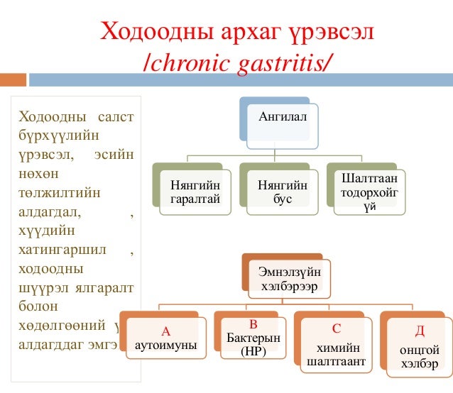хоол боловсруулах замын эмгэг ба эмийн зохистой хэрэглээ