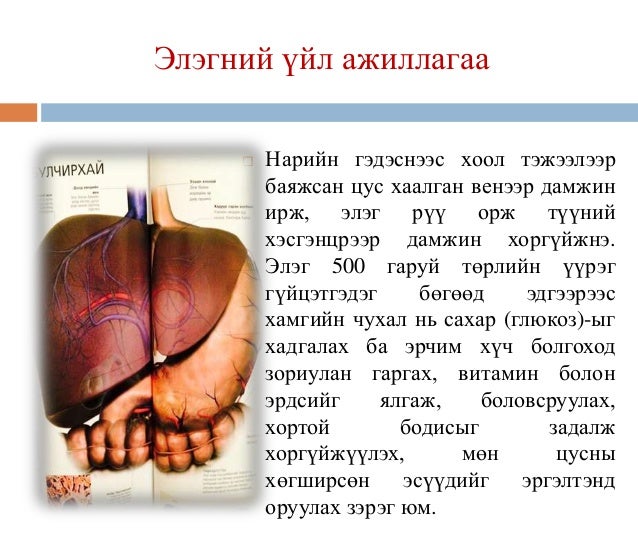 хоол боловсруулах замын эмгэг ба эмийн зохистой хэрэглээ