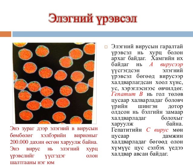 хоол боловсруулах замын эмгэг ба эмийн зохистой хэрэглээ