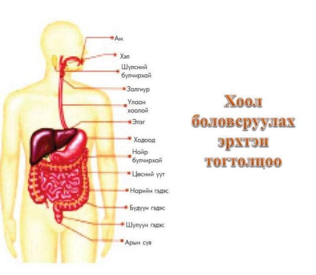 хоол боловсруулах замын эмгэг ба эмийн зохистой хэрэглээ