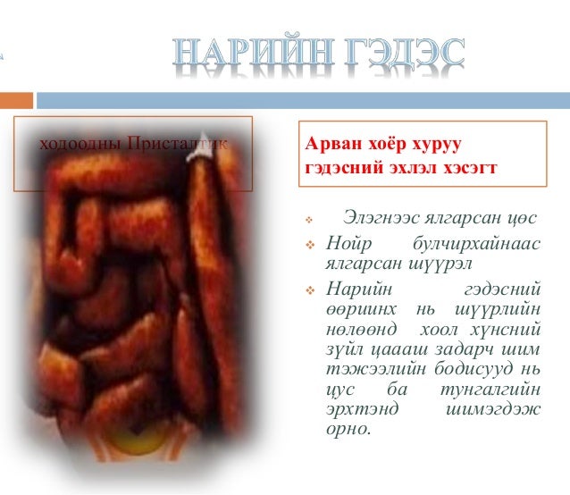 хоол боловсруулах замын эмгэг ба эмийн зохистой хэрэглээ
