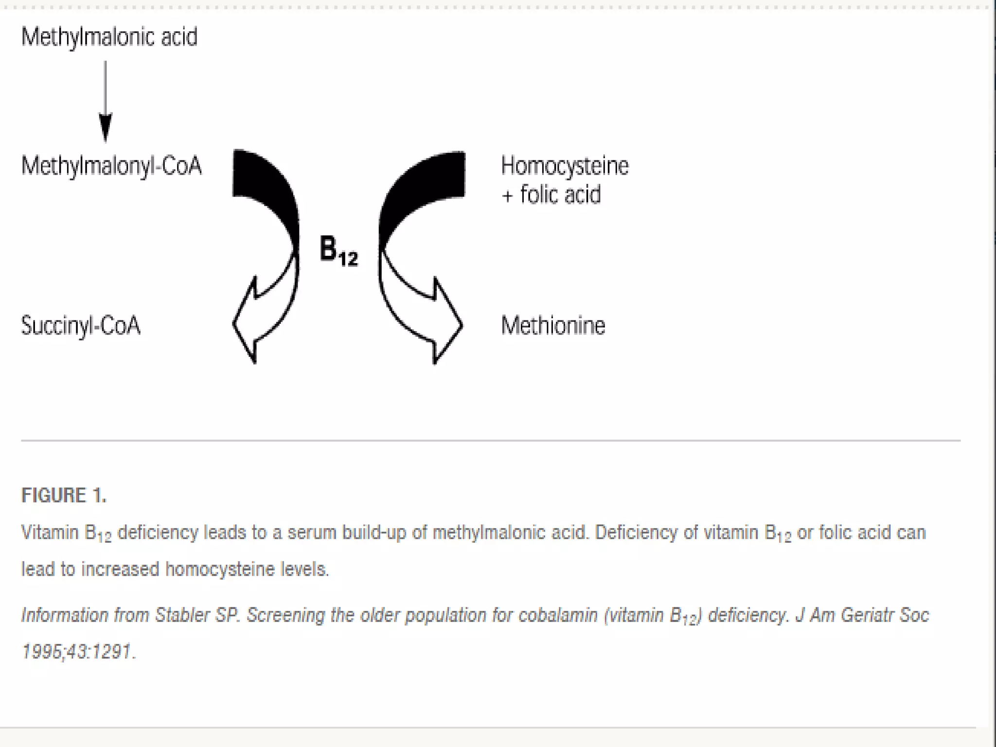 Vitamin B12 Deficiency | PDF