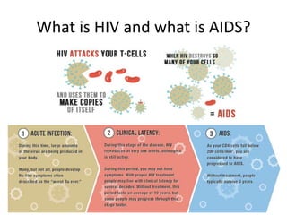 What is HIV and what is AIDS?
 