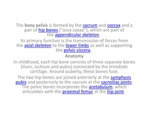 The bony pelvis is formed by the sacrum and coccyx and a
pair of hip bones ("ossa coxae"), which are part of
the appendicular skeleton.
Its primary function is the transmission of forces from
the axial skeleton to the lower limbs as well as supporting
the pelvic viscera.
Anatomy
In childhood, each hip bone consists of three separate bones
(ilium, ischium and pubis) connected by the triradiate
cartilage. Around puberty, these bones fuse.
The two hip bones are joined anteriorly at the symphysis
pubis and posteriorly to the sacrum at the sacroiliac joints.
The pelvic bones incorporate the acetabulum, which
articulates with the proximal femur at the hip joint.
 