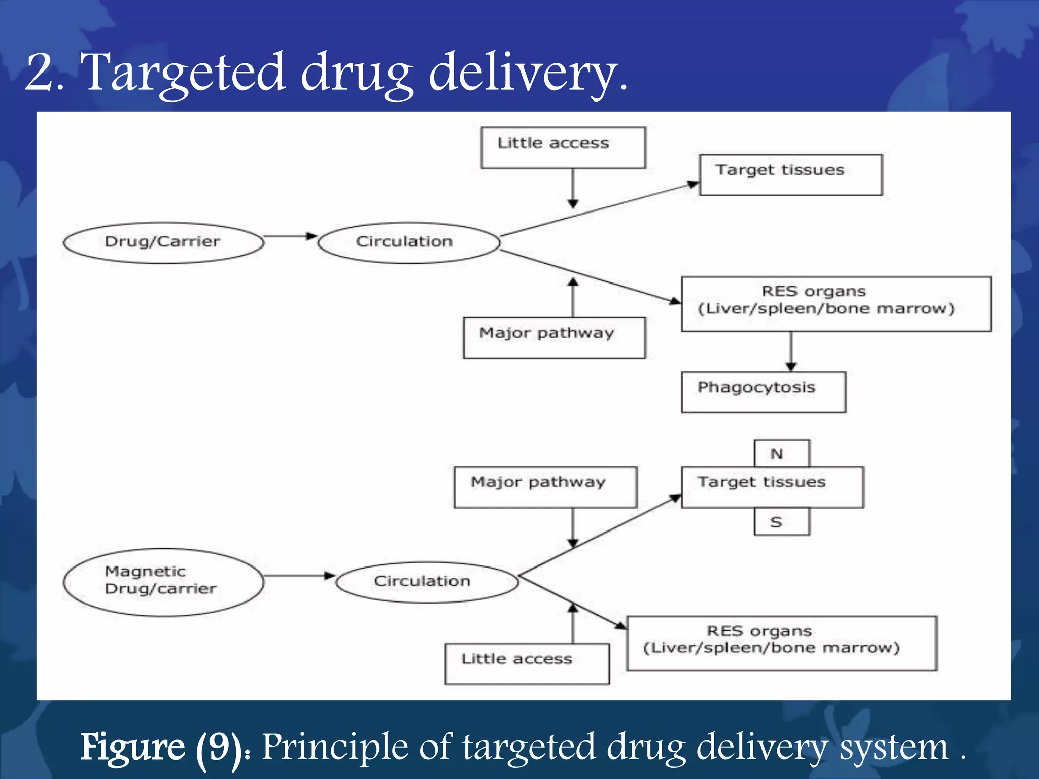 2. Targeted drug delivery.
Figure (9): Principle of targeted drug delivery system .
 