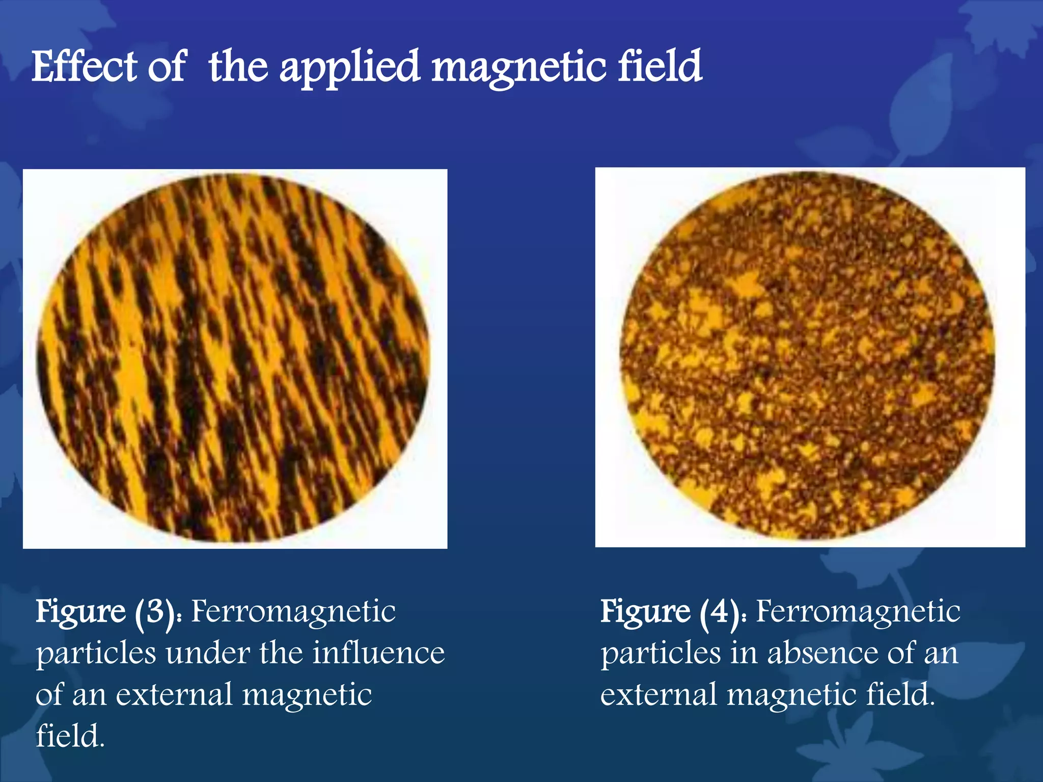 Effect of the applied magnetic field
Figure (3): Ferromagnetic
particles under the influence
of an external magnetic
field.
Figure (4): Ferromagnetic
particles in absence of an
external magnetic field.
 