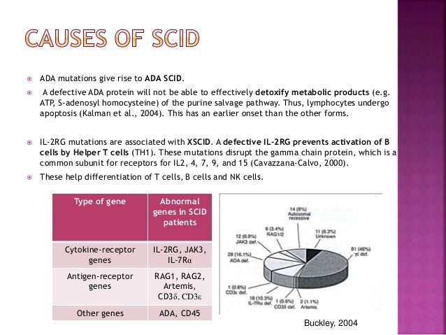 adenosine deaminase ada immunodeficiency