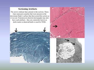 Histology Made Easy: Chap 1: Introduction to Histology