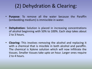 (2) Dehydration & Clearing:
• Purpose: To remove all the water because the Paraffin
(embedding medium) is immiscible in water.
• Dehydration: Solution is placed in increasing concentrations
of alcohol beginning with 50% to 100%. Each step takes about
2 to 3 hours.
• Clearing: This involves removing the alcohol and replacing it
with a chemical that is miscible in both alcohol and paraffin.
The chemical is Xylene solution which will now infiltrate the
tissues. Smaller tissues take upto an hour. Larger ones require
2 to 4 hours.
 