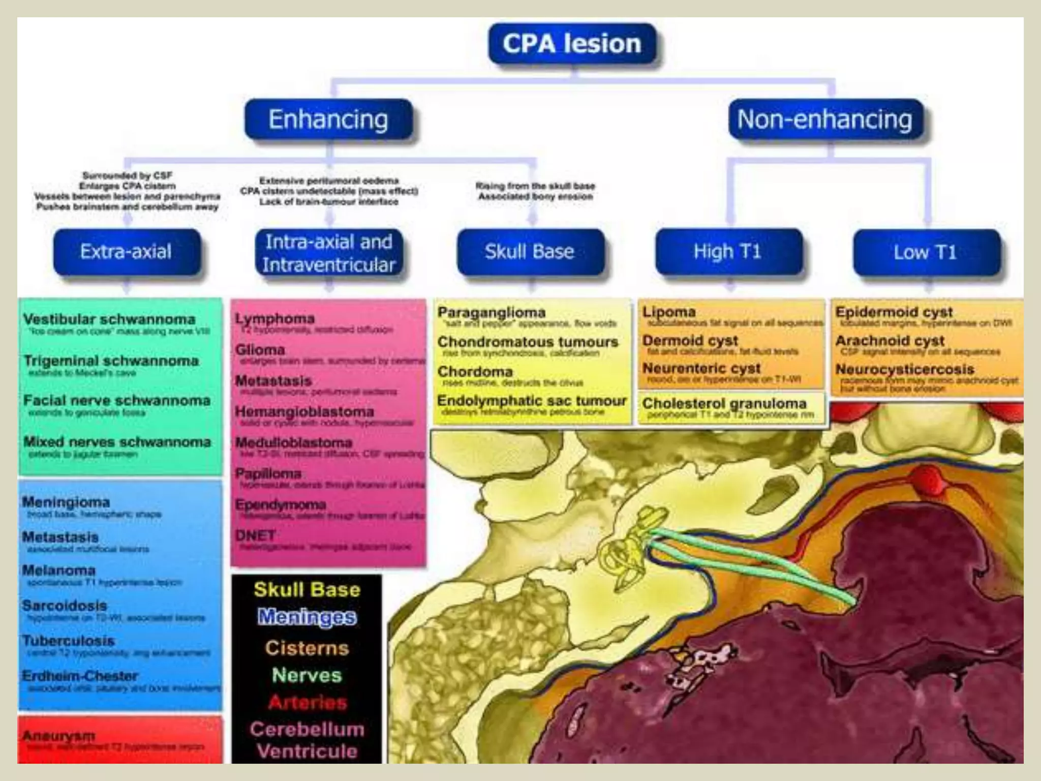 Presentation1.pptx, radiological imaging of cerebello pontine angle ...