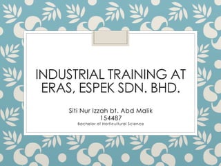 INDUSTRIAL TRAINING AT
ERAS, ESPEK SDN. BHD.
Siti Nur Izzah bt. Abd Malik
154487
Bachelor of Horticultural Science
 
