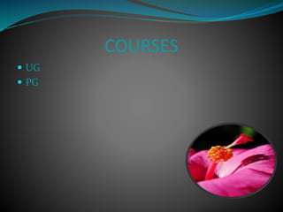 COURSES
 UG
 PG
 
