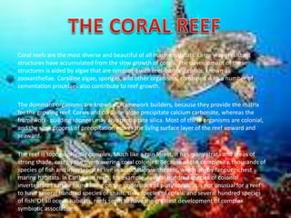 Coral reefs are the most diverse and beautiful of all marine habitats. Large wave resistant
structures have accumulated from the slow growth of corals. The development of these
structures is aided by algae that are symbiotic with reef-building corals, known as
zooxanthellae. Coralline algae, sponges, and other organisms, combined with a number of
cementation processes also contribute to reef growth.
The dominant organisms are known as framework builders, because they provide the matrix
for the growing reef. Corals and coralline algae precipitate calcium carbonate, whereas the
framework- building sponges may also precipitate silica. Most of these organisms are colonial,
and the slow process of precipitation moves the living surface layer of the reef upward and
seaward.
The reef is topographically complex. Much like a rain forest, it has many strata and areas of
strong shade, cast by the overtowering coral colonies. Because of the complexity, thousands of
species of fish and invertebrates live in association with reefs, which are by far our richest
marine habitats. In Caribbean reefs, for example, several hundred species of colonial
invertebrates can be found living on the undersides of platy corals. It is not unusual for a reef
to have several hundred species of snails, sixty species of corals, and several hundred species
of fish. Of all ocean habitats, reefs seem to have the greatest development of complex
symbiotic associations.
 