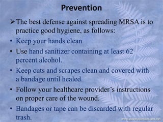 Clean Mrsa MRSA | PPTX