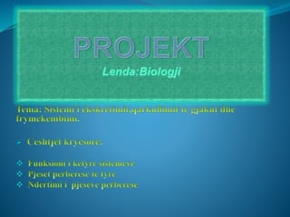 Presentation1 