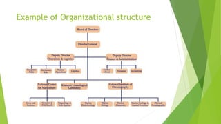 Example of Organizational structure
 