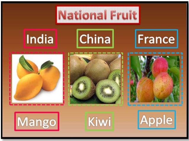 symbol rooster france national of Symbols India, China, Comparative of of Study France National symbol rooster france national of Symbols India, China, Comparative of of Study France National