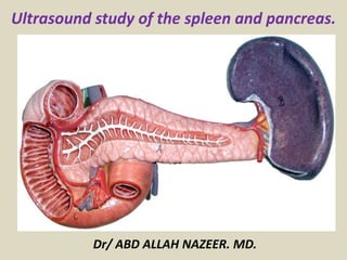 Dr/ ABD ALLAH NAZEER. MD.
Ultrasound study of the spleen and pancreas.
 