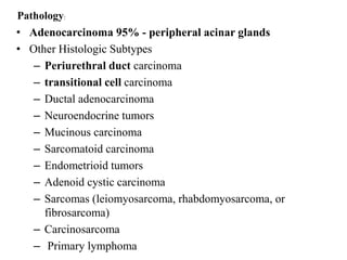 • Adenocarcinoma 95% - peripheral acinar glands
• Other Histologic Subtypes
– Periurethral duct carcinoma
– transitional cell carcinoma
– Ductal adenocarcinoma
– Neuroendocrine tumors
– Mucinous carcinoma
– Sarcomatoid carcinoma
– Endometrioid tumors
– Adenoid cystic carcinoma
– Sarcomas (leiomyosarcoma, rhabdomyosarcoma, or
fibrosarcoma)
– Carcinosarcoma
– Primary lymphoma
Pathology:
 