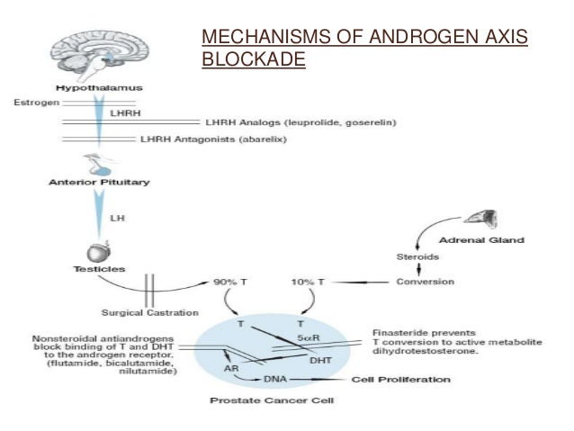 MANAGEMENT OF PROSTATE CA