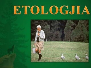 Etologjia