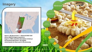 Usda Remote Sensing Remote Sensing Applications in Agriculture at the USDA National ...