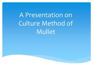 A Presentation on
Culture Method of
Mullet
 