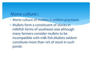 Mono culture :
 Mono culture of mullets is seldom practised.
 Mullets form a constituent of stocks in
milkfish farms of southeast asia although
many farmers consider mullets to be
incompatible with milk fish.Mullets seldom
constitute more than 10% of stock in such
ponds
 