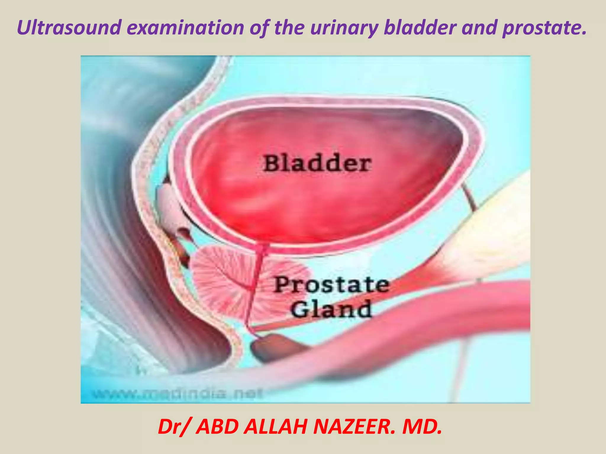 Prostate Map Bladder Presentation1.pptx, ultrasound examination of the urinary bladder and ...