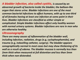 Presentation1.pptx, ultrasound examination of the urinary bladder and ...