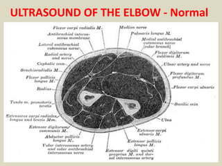 ULTRASOUND OF THE ELBOW - Normal
 