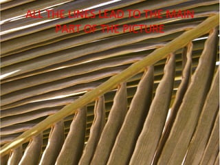 ALL THE LINES LEAD TO THE MAIN
PART OF THE PICTURE
 