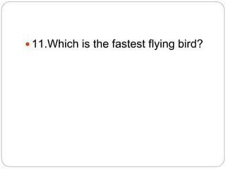  11.Which is the fastest flying bird?
 