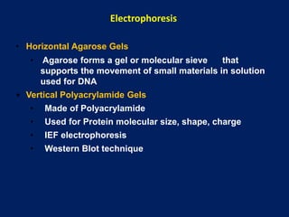 Electrophoresis
• Horizontal Agarose Gels
• Agarose forms a gel or molecular sieve that
supports the movement of small materials in solution
used for DNA
• Vertical Polyacrylamide Gels
• Made of Polyacrylamide
• Used for Protein molecular size, shape, charge
• IEF electrophoresis
• Western Blot technique
 