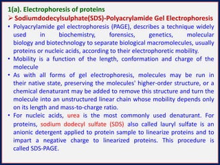 1(a). Electrophoresis of proteins
 Sodiumdodecylsulphate(SDS)-Polyacrylamide Gel Electrophoresis
• Polyacrylamide gel electrophoresis (PAGE), describes a technique widely
used in biochemistry, forensics, genetics, molecular
biology and biotechnology to separate biological macromolecules, usually
proteins or nucleic acids, according to their electrophoretic mobility.
• Mobility is a function of the length, conformation and charge of the
molecule
• As with all forms of gel electrophoresis, molecules may be run in
their native state, preserving the molecules' higher-order structure, or a
chemical denaturant may be added to remove this structure and turn the
molecule into an unstructured linear chain whose mobility depends only
on its length and mass-to-charge ratio.
• For nucleic acids, urea is the most commonly used denaturant. For
proteins, sodium dodecyl sulfate (SDS) also called lauryl sulfate is an
anionic detergent applied to protein sample to linearize proteins and to
impart a negative charge to linearized proteins. This procedure is
called SDS-PAGE.
 