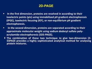  In the first dimension, proteins are resolved in according to their
isoelectric points (pIs) using immobilized pH gradient electrophoresis
(IPGE), isoelectric focusing (IEF), or non-equilibrium pH gradient
electrophoresis.
 In the second dimension, proteins are separated according to their
approximate molecular weight using sodium dodecyl sulfate poly-
acrylamide-electrophoresis (SDS-PAGE).
 The combination of these two technique to give two-dimension (2-
D)PAGE provides a highly sophisticated analytical method for analysing
protein mixtures.
2D-PAGE
 