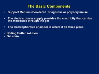 The Basic Components
• Support Medium (Powdered of agarose or polyacrylamise
• The electric power supply provides the electricity that carries
the molecules through the gel
• The electrophoresis chamber is where it all takes place.
• Boiling Buffer solution
• Gel stain
 