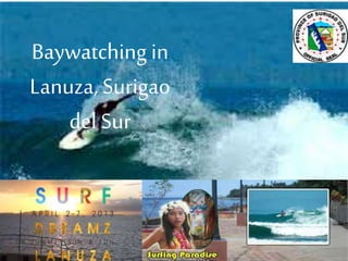 Baywatching in
Lanuza, Surigao
del Sur
 