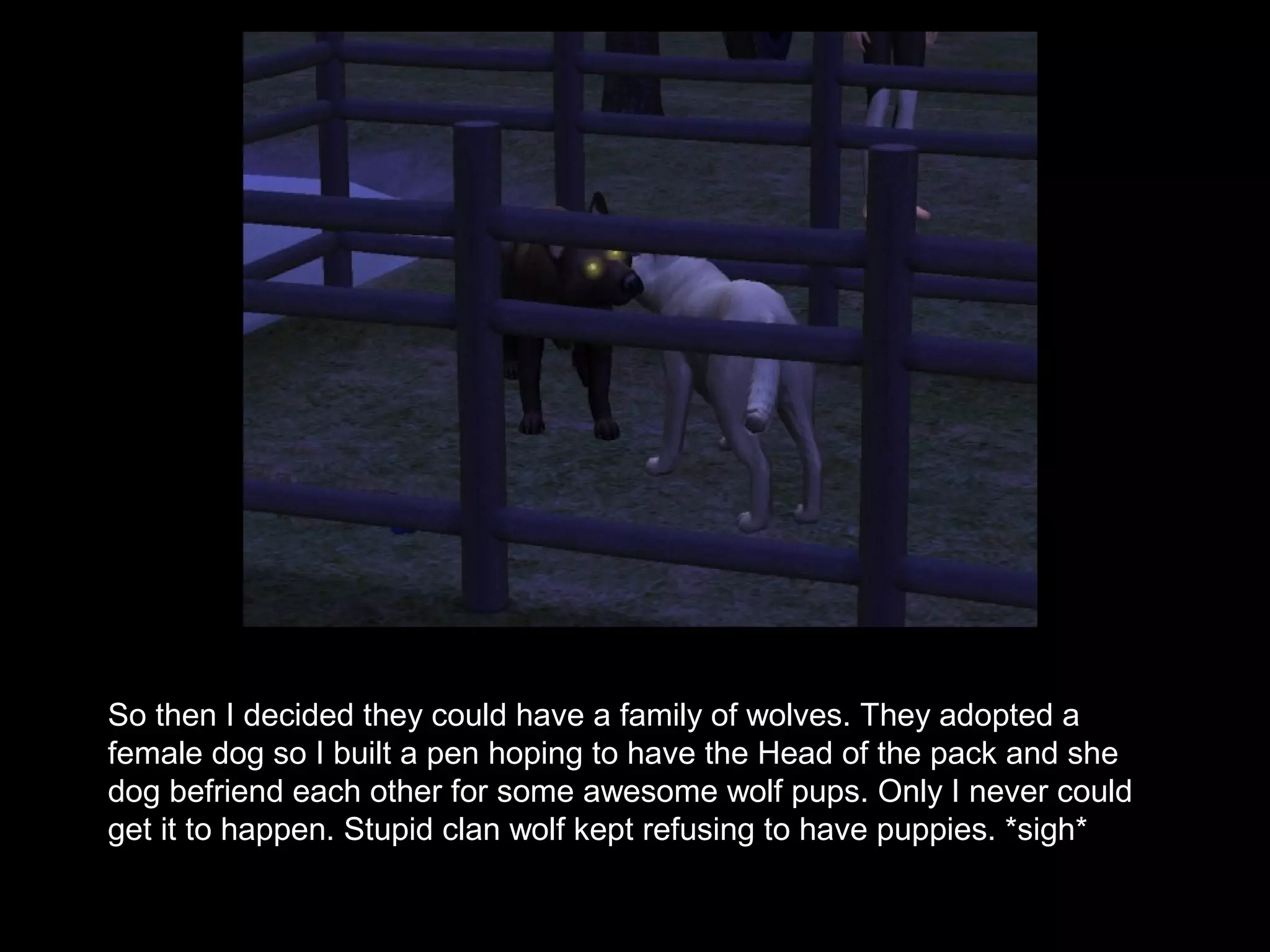So then I decided they could have a family of wolves. They adopted a
female dog so I built a pen hoping to have the Head of the pack and she
dog befriend each other for some awesome wolf pups. Only I never could
get it to happen. Stupid clan wolf kept refusing to have puppies. *sigh*
 