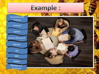 Accounts and
finance
contract
Admin
Human Resource
Mareco
QA
MIS
Safety
Planing and
technical
 