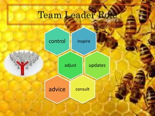 Team Leader Role
inspirecontrol
adjust updates
consultadvice
 