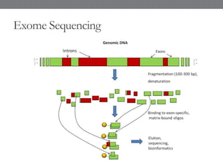 Exome Sequencing
 