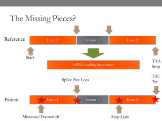 The Missing Pieces?
Exon 1 Intron 1 Exon 2Reference
Patient
Start
TAA
StopmRNA coding for protein
Exon 1 Intron 1 Exon 2
TAC
TyrSplice Site Loss
Missense/Frameshift Stop Gain
 